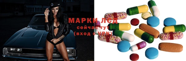 стафф Баксан