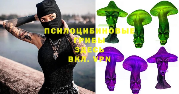 стафф Баксан